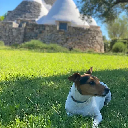 בית נופש I Trulli Di Alice *