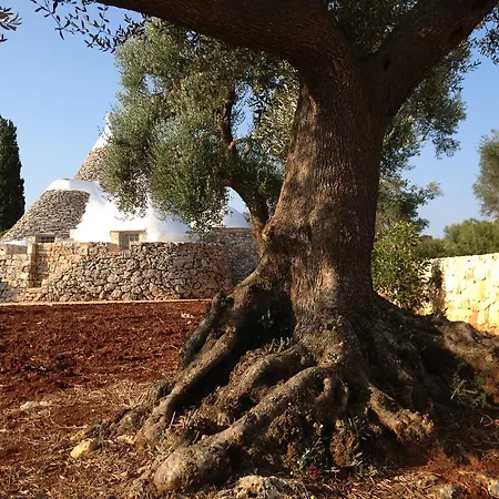 בית נופש I Trulli Di Alice