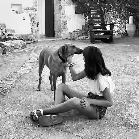 I Trulli Di Alice Casa vacanze *