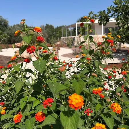 Casa vacanze I Trulli Di Alice *