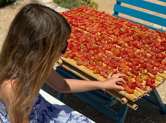 I Trulli Di Alice Vakantiehuis *